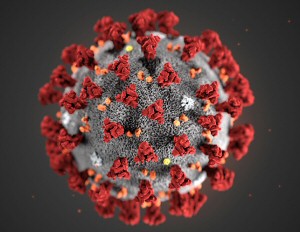 coronavirus